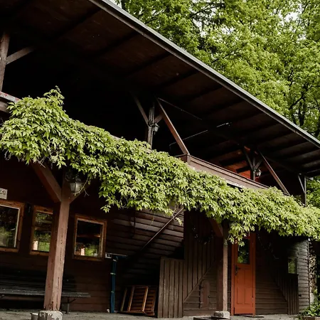 Basen - Drewniany Dom Z Duzym Stawem Prázdninový dům