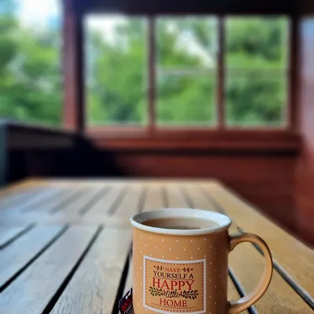 Basen - Drewniany Dom Z Duzym Stawem Prázdninový dům