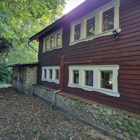 Basen - Drewniany Dom Z Dużym Stawem