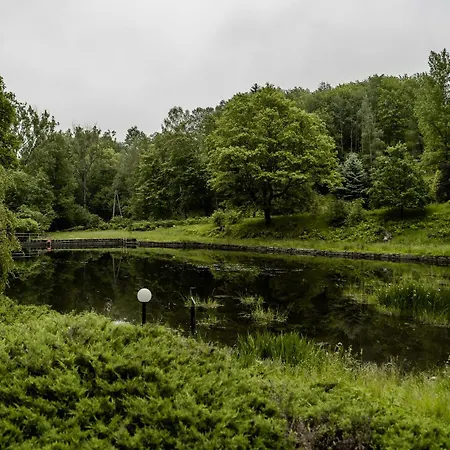 Basen - Drewniany Dom Z Duzym Stawem Prázdninový dům *