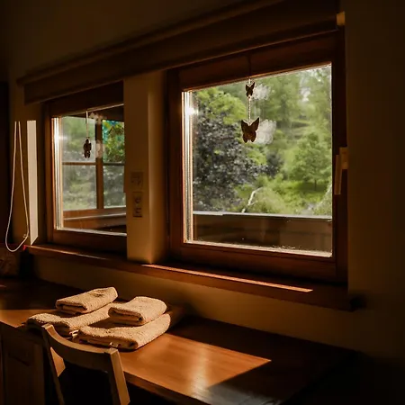 Basen - Drewniany Dom Z Duzym Stawem *