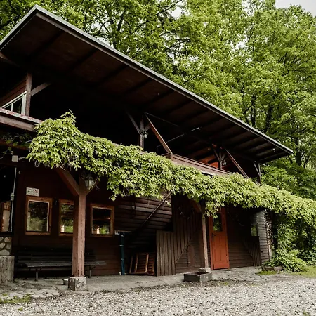 Basen - Drewniany Dom Z Duzym Stawem Prázdninový dům