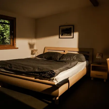 Prázdninový dům Basen - Drewniany Dom Z Duzym Stawem *