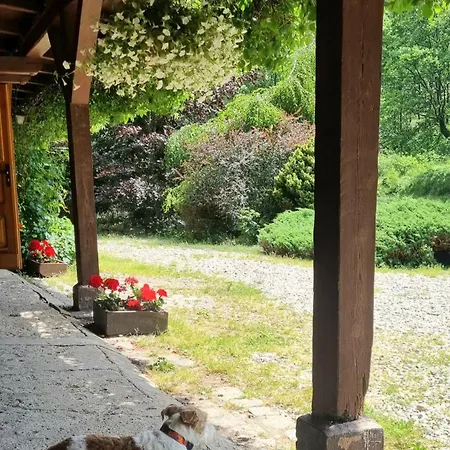 Basen - Drewniany Dom Z Duzym Stawem Prázdninový dům *