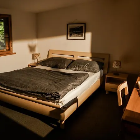 Basen - Drewniany Dom Z Duzym Stawem